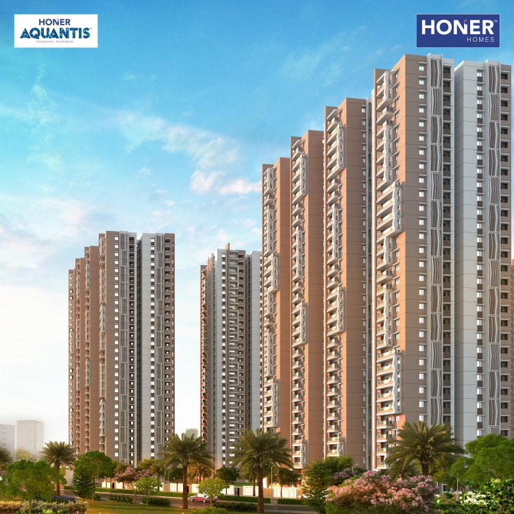 Honer Aquantis Home Hunt