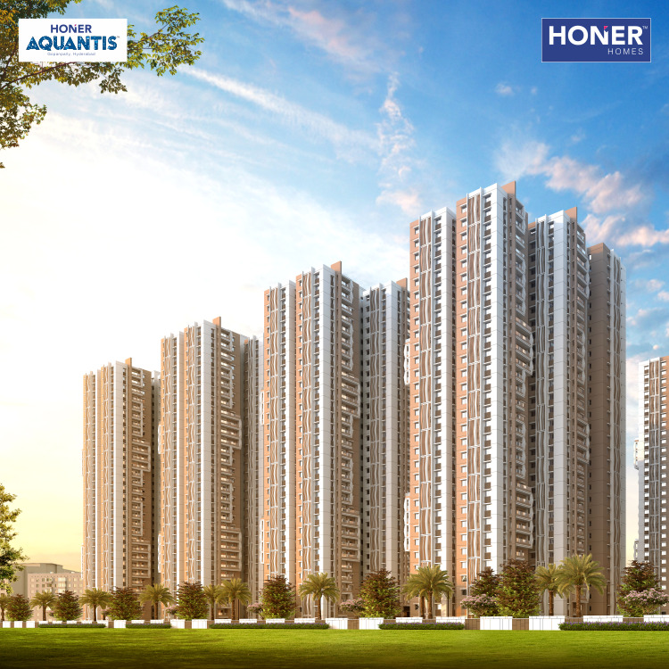 Honer Aquantis Home Hunt